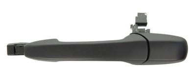 Exterior Door Handle BLIC 6010-14-037403P
