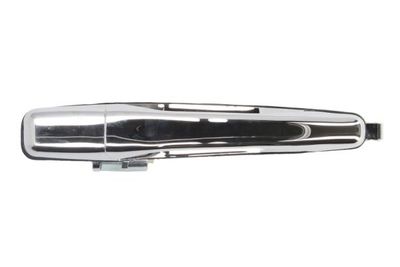 Exterior Door Handle BLIC 6010-15-038403PP