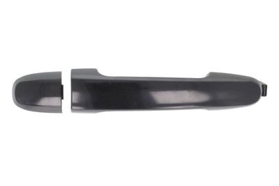 Exterior Door Handle BLIC 6010-19-059402P