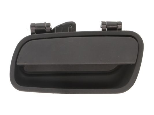 BLIC 6010-21-015410WP Door Handle, interior equipment