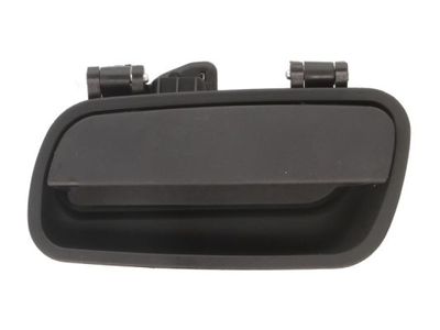 Door Handle, interior equipment BLIC 6010-21-015410WP