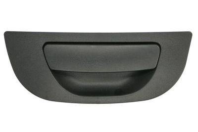 Exterior Door Handle BLIC 6010-22-011404P