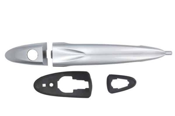 BLIC 6010-23-012401PP Exterior Door Handle