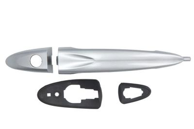 Exterior Door Handle BLIC 6010-23-012401PP