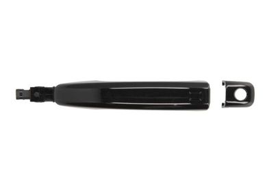 Exterior Door Handle BLIC 6010-25-032401P