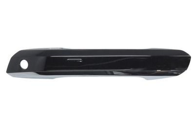 Exterior Door Handle BLIC 6010-25-1875401P