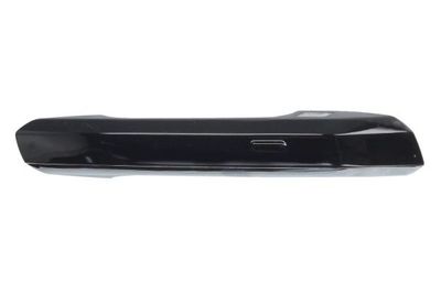 Exterior Door Handle BLIC 6010-25-1875402P