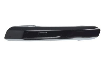 Exterior Door Handle BLIC 6010-25-1875403P
