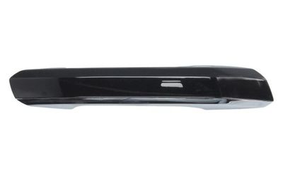 Exterior Door Handle BLIC 6010-25-1875404P