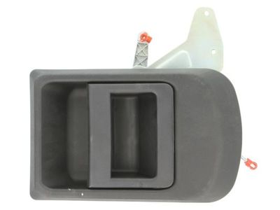 Exterior Door Handle BLIC 6010-30-002410P