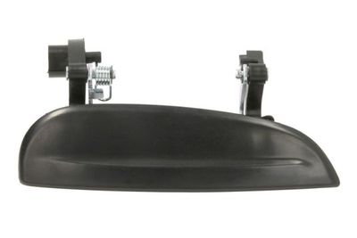 Exterior Door Handle BLIC 6010-53-008404P