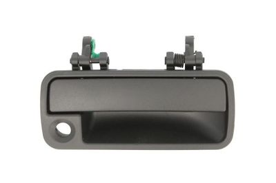 Exterior Door Handle BLIC 6010-57-007402P