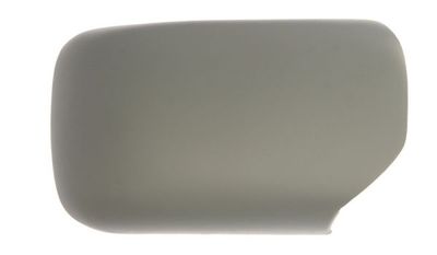 Housing, exterior mirror BLIC 6103-01-1311285P