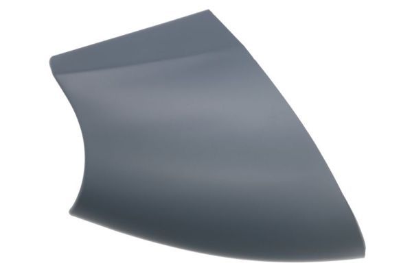 BLIC 6103-01-1321233P Housing, exterior mirror