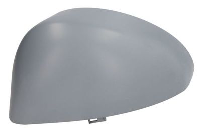 Housing, exterior mirror BLIC 6103-01-1321855P