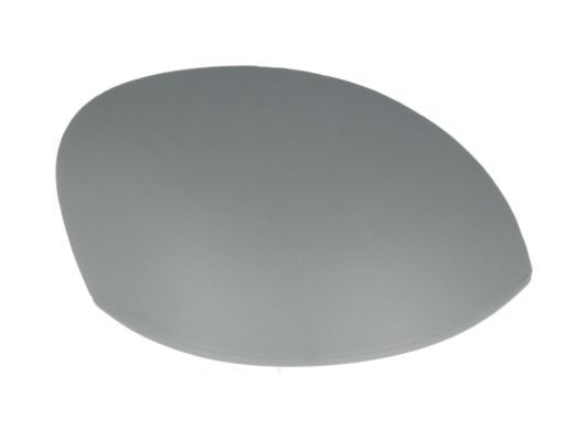 BLIC 6103-01-1322283P Housing, exterior mirror