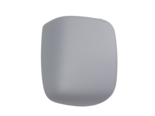 BLIC 6103-07-039353P Housing, exterior mirror