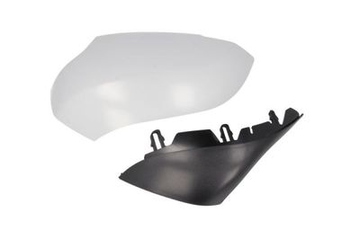 Housing, exterior mirror BLIC 6103-09-2002151P