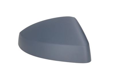Housing, exterior mirror BLIC 6103-25-2001024P