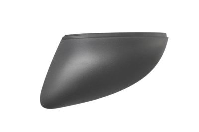 Housing, exterior mirror BLIC 6103-43-2002347P