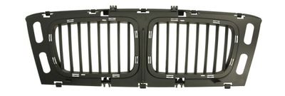 Radiator Grille BLIC 6502-07-0057999P