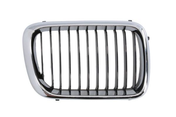BLIC 6502-07-0060998P Radiator Grille