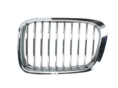 Radiator Grille BLIC 6502-07-0061991P