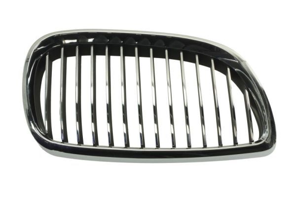 BLIC 6502-07-00629916P Radiator Grille