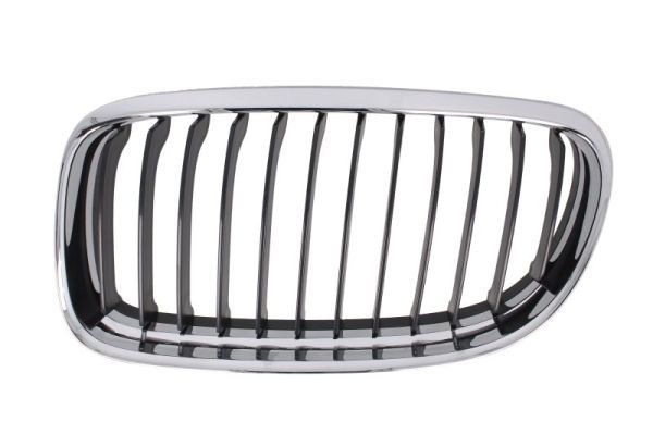 BLIC 6502-07-0062991AP Radiator Grille