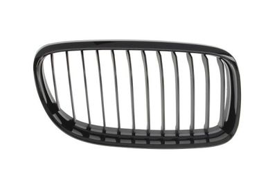 Radiator Grille BLIC 6502-07-0062992BP