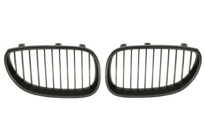 Radiator Grille BLIC 6502-07-0066991KP
