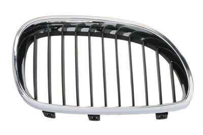 Radiator Grille BLIC 6502-07-0066994P