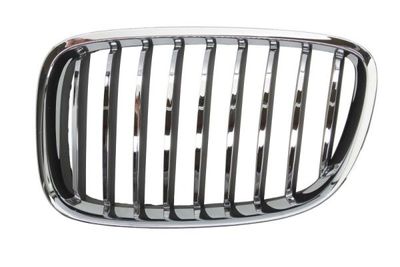 Radiator Grille BLIC 6502-07-00679911P