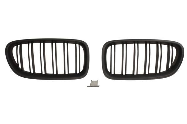 BLIC 6502-07-0067992KP Radiator Grille