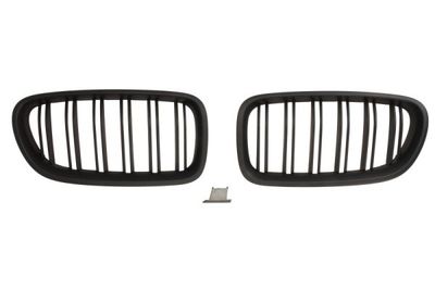 Radiator Grille BLIC 6502-07-0067992KP