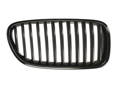 Radiator Grille BLIC 6502-07-0067992P