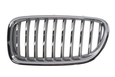 Radiator Grille BLIC 6502-07-0067997CP