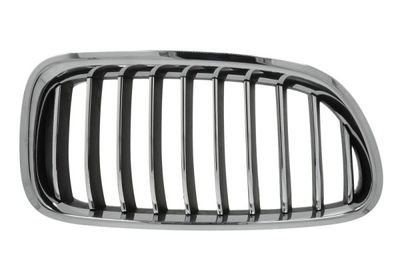 Radiator Grille BLIC 6502-07-0067998P