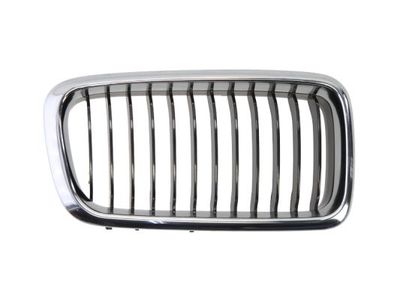 Radiator Grille BLIC 6502-07-0075996P