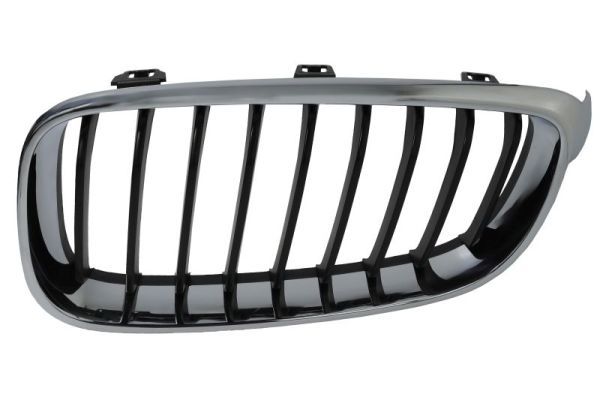 BLIC 6502-07-0081991GP Radiator Grille