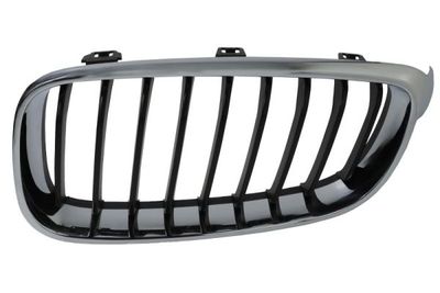Radiator Grille BLIC 6502-07-0081991GP