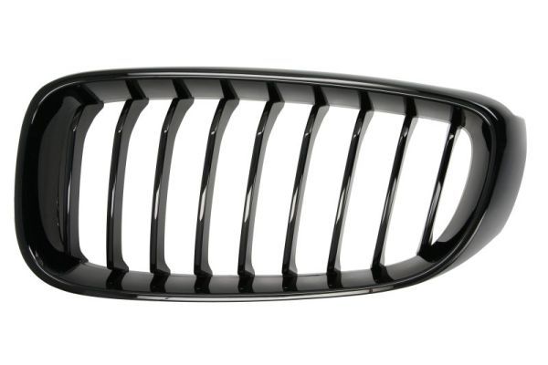 BLIC 6502-07-0081995P Radiator Grille