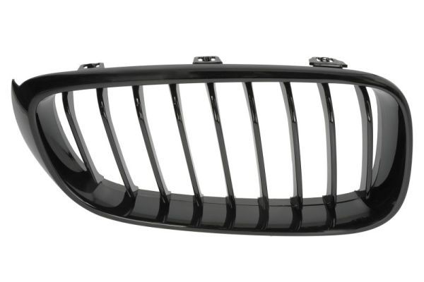 BLIC 6502-07-0081996P Radiator Grille