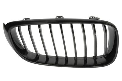 Radiator Grille BLIC 6502-07-0081996P