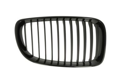 Radiator Grille BLIC 6502-07-0085998P