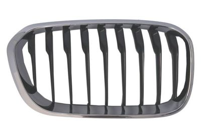 Radiator Grille BLIC 6502-07-0086998CP