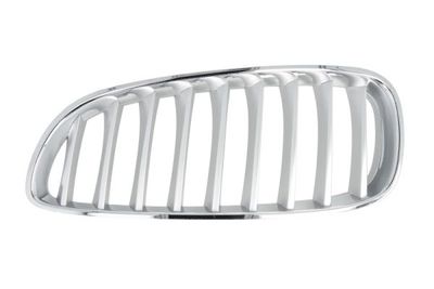 Radiator Grille BLIC 6502-07-0089997P