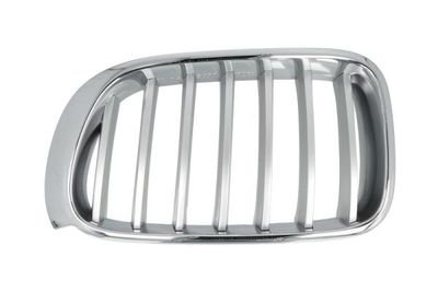 Radiator Grille BLIC 6502-07-00939955P