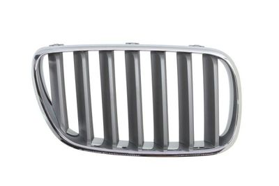 Radiator Grille BLIC 6502-07-00939960P
