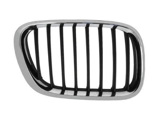 BLIC 6502-07-0095994P Radiator Grille